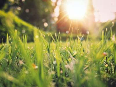 Did I Mention, Spring is my Favorite&nbsp;Season